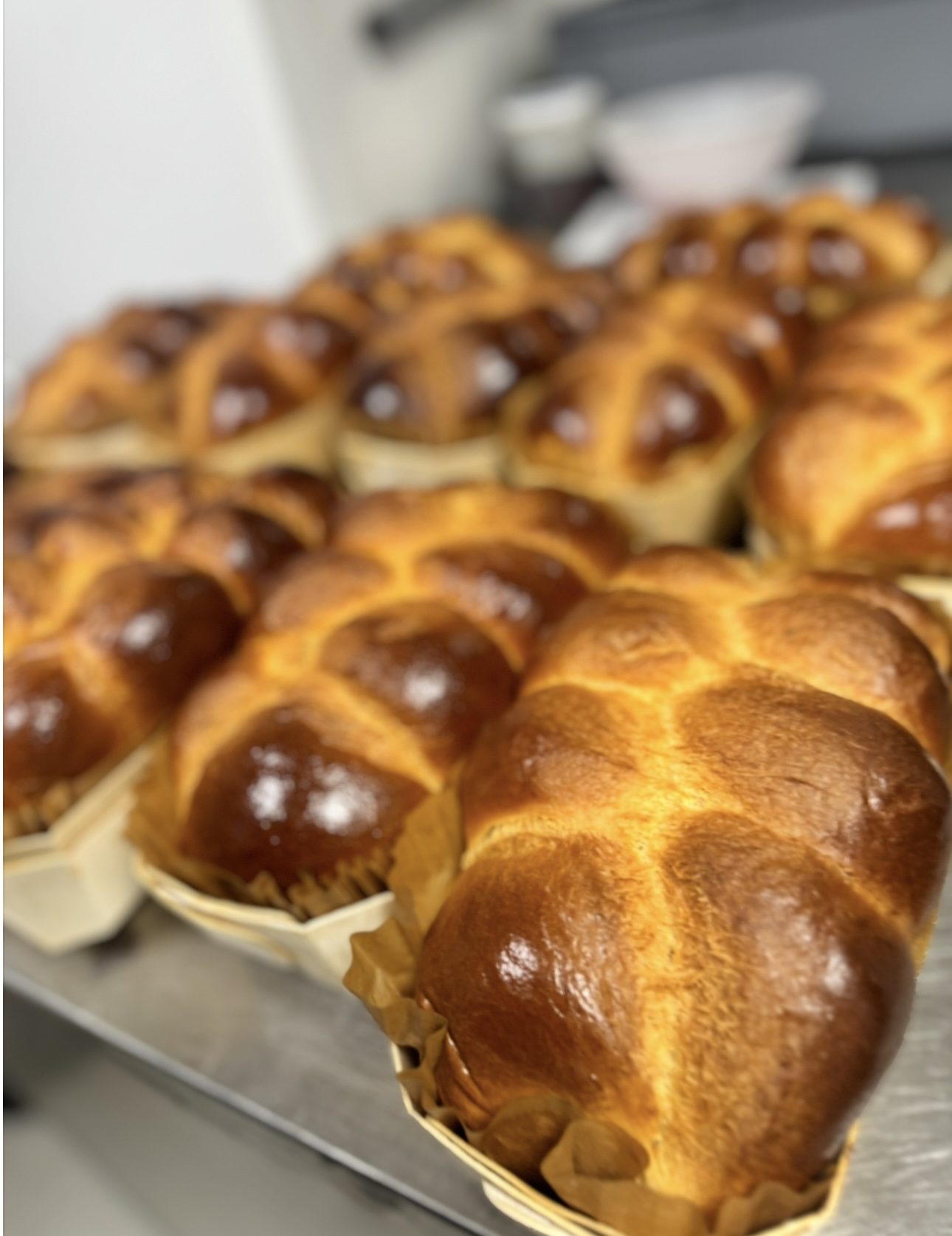Brioche panibois